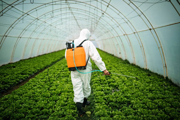Best Affordable Pest Control Services  in Gering, NE