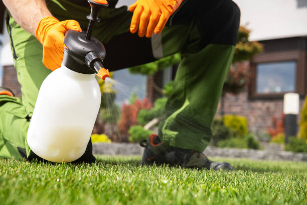 Pest Control for Restaurants in Gering, NE
