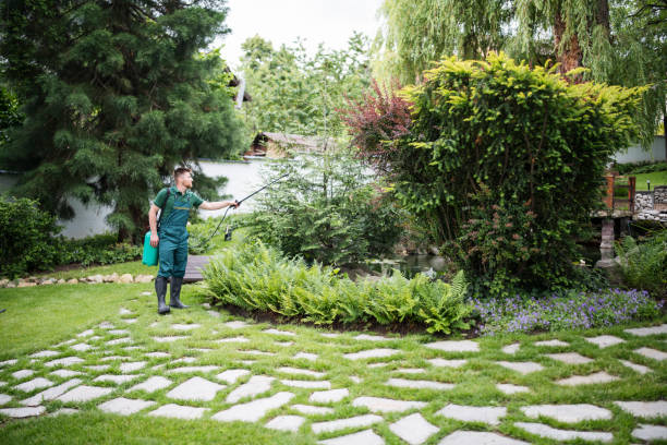 Best Best Pest Control Companies  in Gering, NE