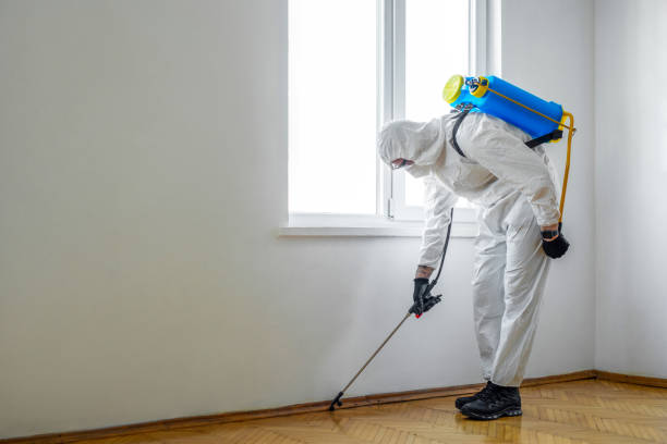 Best Flea Control Services  in Gering, NE