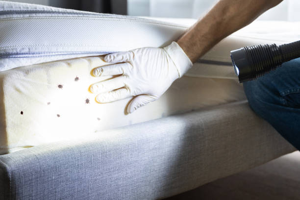 Best Mosquito Control Services  in Gering, NE