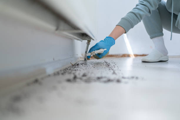 Best Affordable Pest Control Services  in Gering, NE