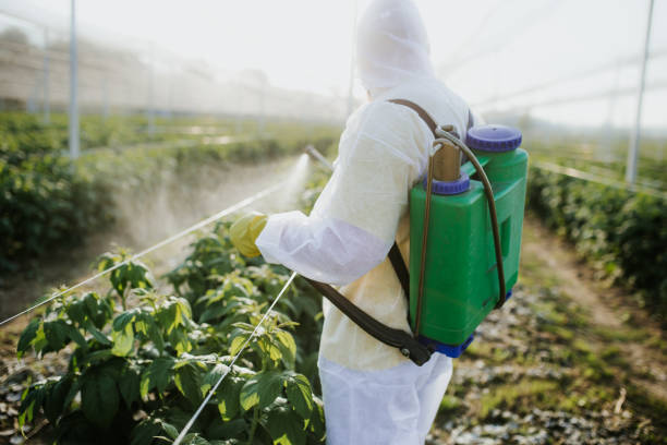 Best Wildlife Control Services  in Gering, NE